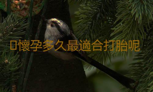 懷孕多久最適合打胎呢