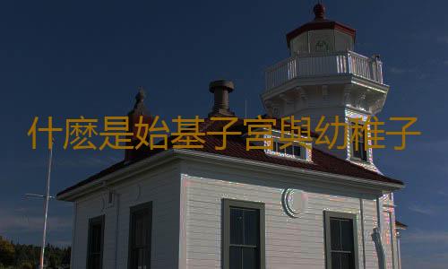 什麽是始基子宮與幼稚子宮?