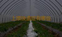 上環後遺症有哪些