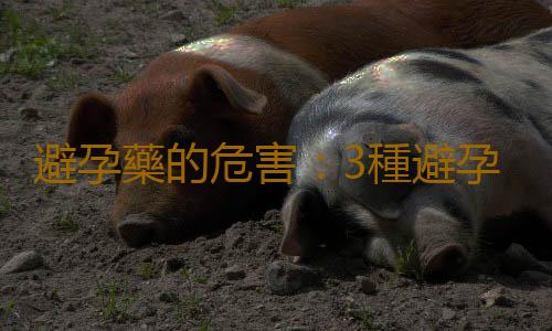 避孕藥的危害:3種避孕法哪種最傷身