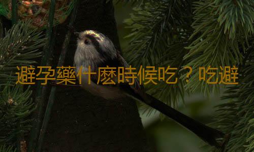 避孕藥什麽時候吃?吃避孕藥的最佳時間